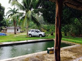 2 Schlafzimmer Villa zu verkaufen in Presidente Figueiredo, Amazonas, Presidente Figueiredo, Presidente Figueiredo, Amazonas, Brasilien