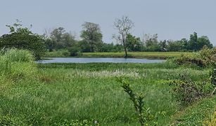N/A Land for sale in Huai Sak, Chiang Rai 