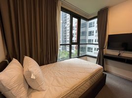 2 Bedroom Condo for rent at XT Huaikhwang, Din Daeng, Din Daeng, Bangkok, Thailand