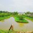 ขายที่ดิน ใน หนองเสือ ปทุมธานี, บึงบา