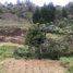  Land for sale in Antioquia, Guarne, Antioquia