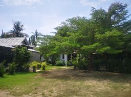  Grundstück zu verkaufen in Ko Pha-Ngan, Surat Thani, Ban Tai