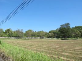  Land for sale in Mittraphap, Muak Lek, Mittraphap