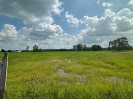  Land for sale in Buri Ram, Nong Tat, Mueang Buri Ram, Buri Ram