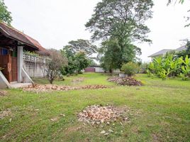  Land for sale in Chiang Mai, Tha Wang Tan, Saraphi, Chiang Mai