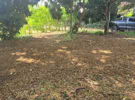  Land for sale in Saraphi, Chiang Mai, Nong Faek, Saraphi