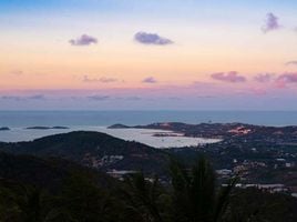  Grundstück zu verkaufen in Koh Samui, Surat Thani, Bo Phut