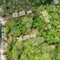  Land for sale at Yamu Hills, Pa Khlok, Thalang, Phuket