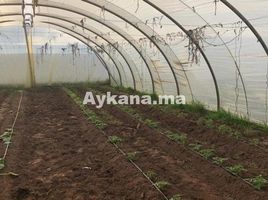  Land for sale in Skhirate Temara, Rabat Sale Zemmour Zaer, Na Skhirate, Skhirate Temara