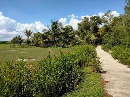  Land for sale in Krabi, Khlong Prasong, Mueang Krabi, Krabi