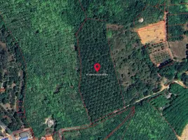  Land for sale in Thep Krasattri, Thalang, Thep Krasattri