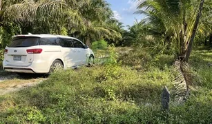 N/A Land for sale in Pak Phun, Nakhon Si Thammarat 