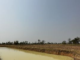  Land for sale in Buri Ram, Nong Tat, Mueang Buri Ram, Buri Ram