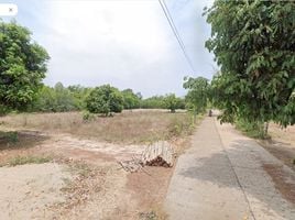  Land for sale in Sam Phrao, Mueang Udon Thani, Sam Phrao