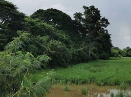  Land for sale in Sao Hai, Saraburi, Muang Ngam, Sao Hai