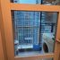 1 Bedroom Apartment for rent at Centric Scene Sukhumvit 64, Bang Na