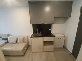 Studio Apartment for rent at Dolce Lasalle, Bang Na