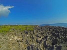  Land for sale in Bay Islands, Utila, Bay Islands