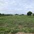  Land for sale in Nong Chok, Bangkok, Nong Chok, Nong Chok