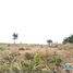  Land for sale in Bago, Bago Pegu, Pegu, Bago