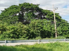  Grundstück zu verkaufen in Sao Hai, Saraburi, Muang Ngam, Sao Hai