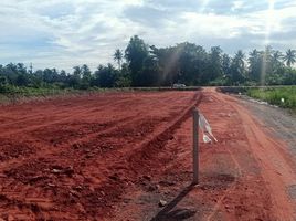  Land for sale in Mueang Surat Thani, Surat Thani, Bang Sai, Mueang Surat Thani