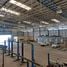 Warehouse for sale at Nava Nakorn Pathumthani Industrial Zone, Khlong Nueng
