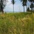  Land for sale in Trat, Ko Mak, Ko Kut, Trat