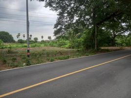  Grundstück zu verkaufen in Mueang Nakhon Pathom, Nakhon Pathom, Thung Noi