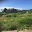  Land for sale in Sattahip, Chon Buri, Bang Sare, Sattahip