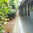 80 Bedroom Hotel for sale in Patong, Kathu, Patong