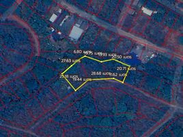  Land for sale in Mae Pu Kha, San Kamphaeng, Mae Pu Kha