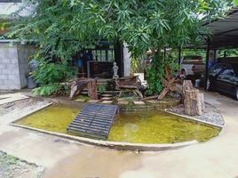 7 Schlafzimmer Haus zu vermieten in Chiang Dao, Chiang Mai, Chiang Dao, Chiang Dao