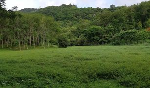 N/A Land for sale in Chalong, Phuket 