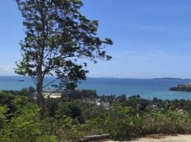  Land for sale in Kao Khad Views Tower, Wichit, Wichit