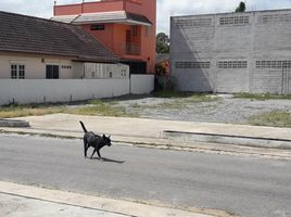  Grundstück zu verkaufen in Sattahip, Chon Buri, Na Chom Thian, Sattahip