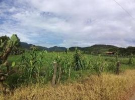  Land for sale in Mexico, San Sebastian Del Oeste, Jalisco, Mexico