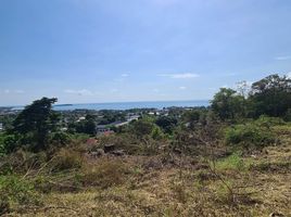  Grundstück zu verkaufen in Koh Samui, Surat Thani, Bo Phut