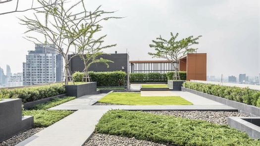 图片 1 of the Communal Garden Area at Life Asoke