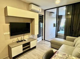 1 Bedroom Apartment for rent at Plum Condo Sukhumvit 97.1, Bang Chak, Phra Khanong