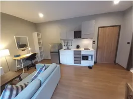 1 Bedroom Condo for rent at The Title V, Rawai