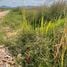  Land for sale in Cha-Am, Phetchaburi, Rai Mai Phatthana, Cha-Am