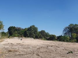  Grundstück zu verkaufen in Mueang Chon Buri, Chon Buri, Ang Sila