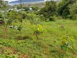  Land for sale in Phuket, Rawai, Phuket Town, Phuket