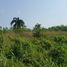  Land for sale in Chon Buri, Pong, Pattaya, Chon Buri