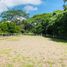  Land for sale in Orotina, Alajuela, Orotina