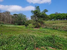  Land for sale in Chan Chawa, Mae Chan, Chan Chawa