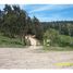  Land for sale in Chile, San Antonio, San Antonio, Valparaiso, Chile