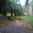  Land for sale in Krabi, Phru Tiao, Khao Phanom, Krabi