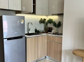 1 Bedroom Condo for rent at Sasara Hua Hin, Nong Kae